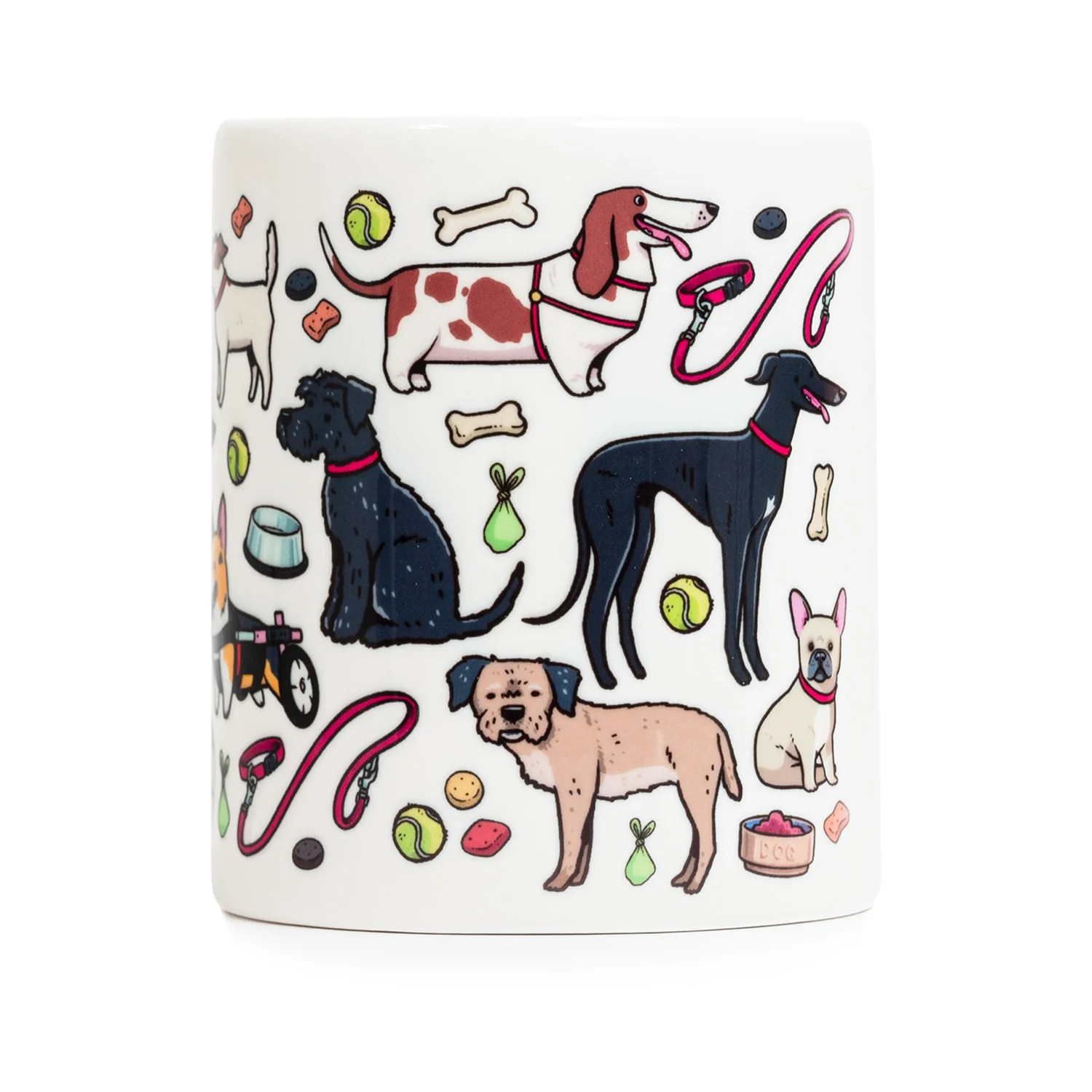 FA X HAMMO Dog Money Box - Image 3