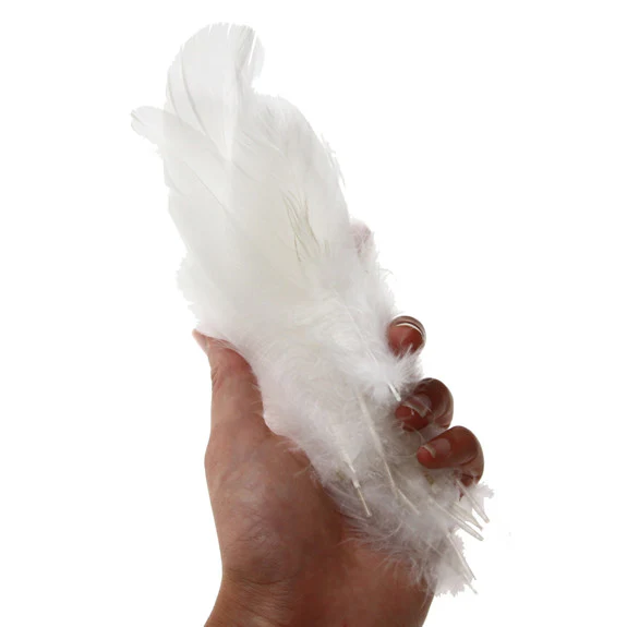 Feather Leaves Nat White12 Pk - Image 2