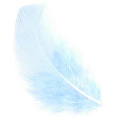 Feather Petals - Image 12
