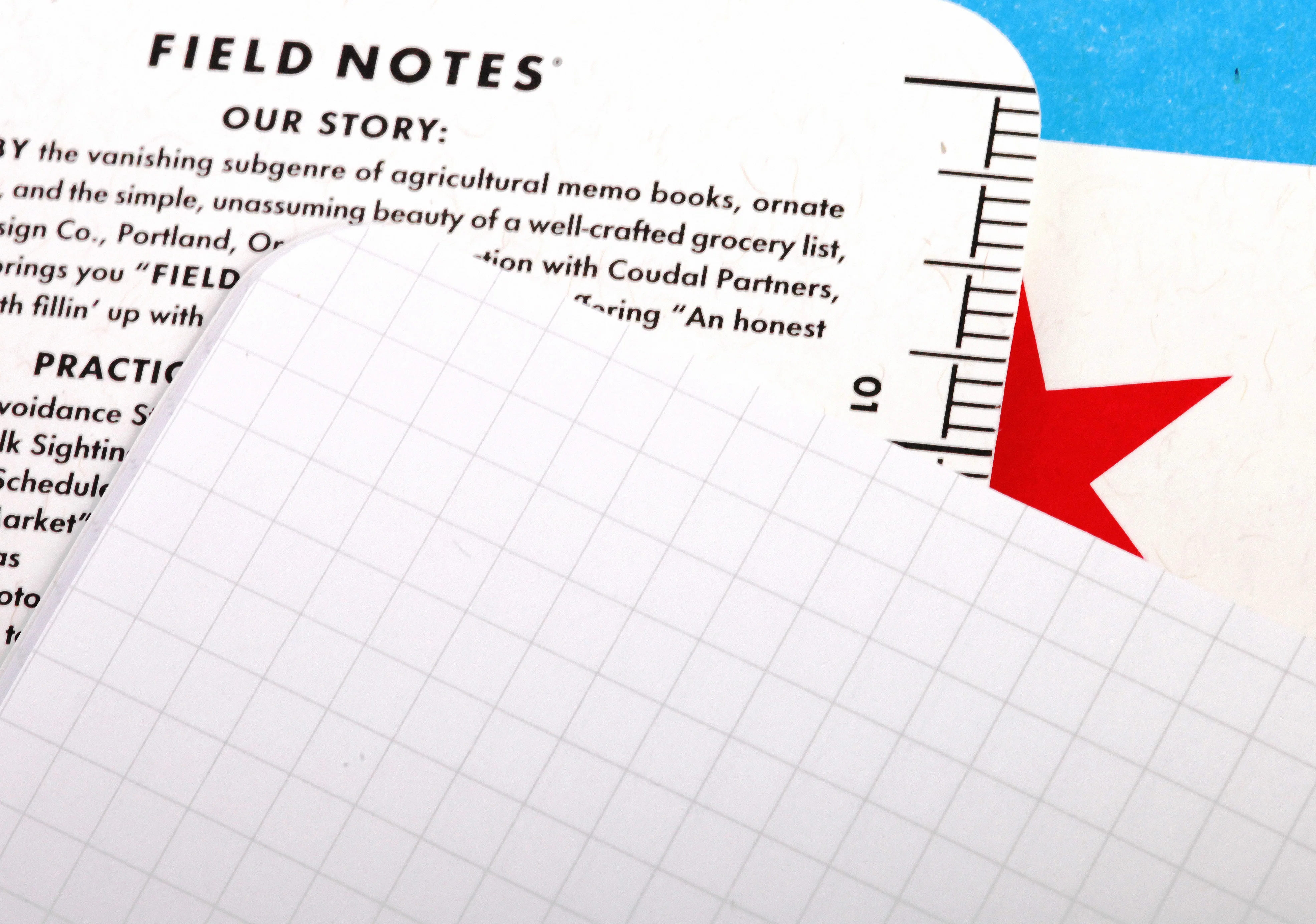 FIELD NOTES Chicago 3-Pack Memo Books Graph Grid - Image 2