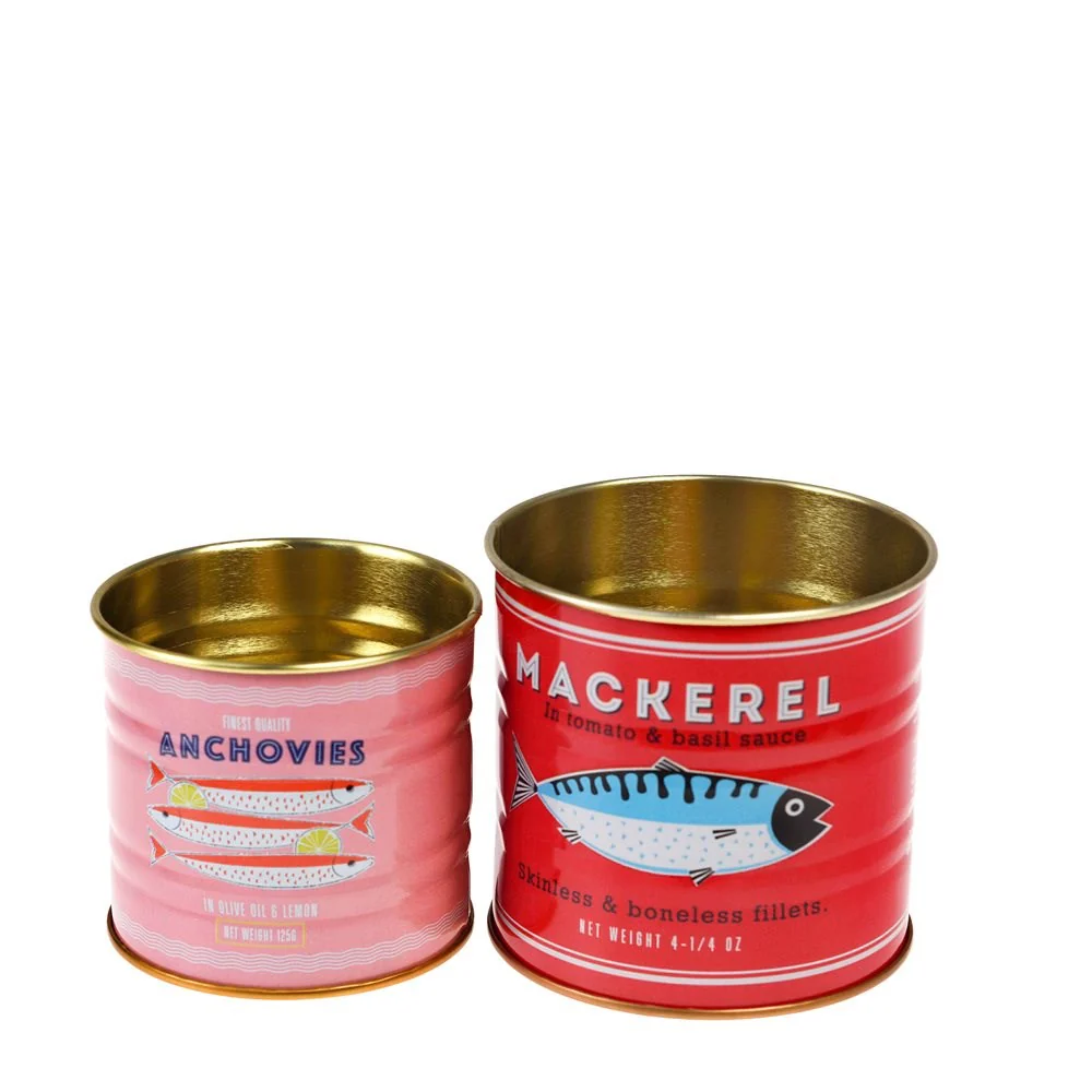 Fish Mini Storage Tins (Set of 2)