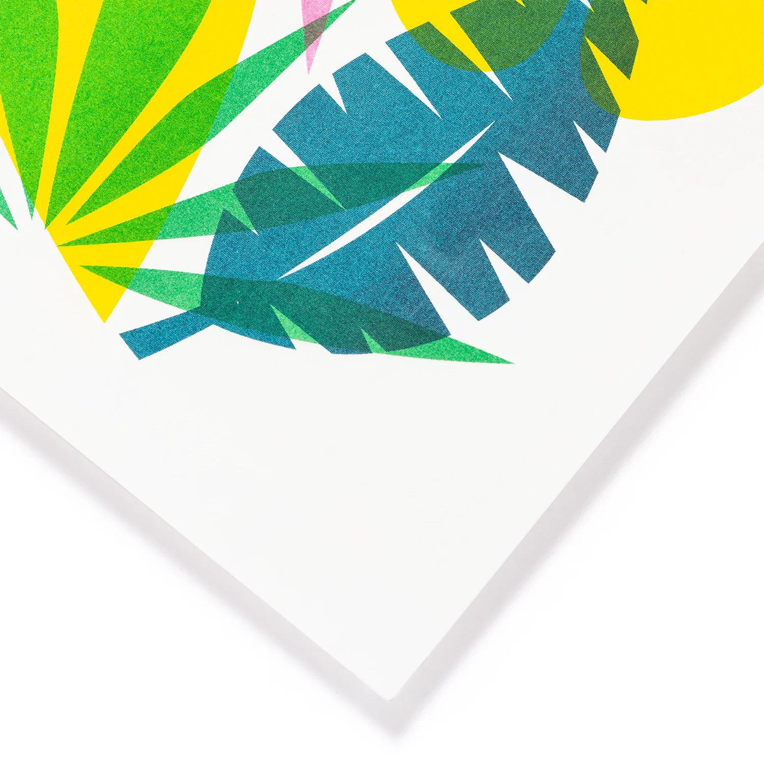 Riso Print - Flora - Image 3