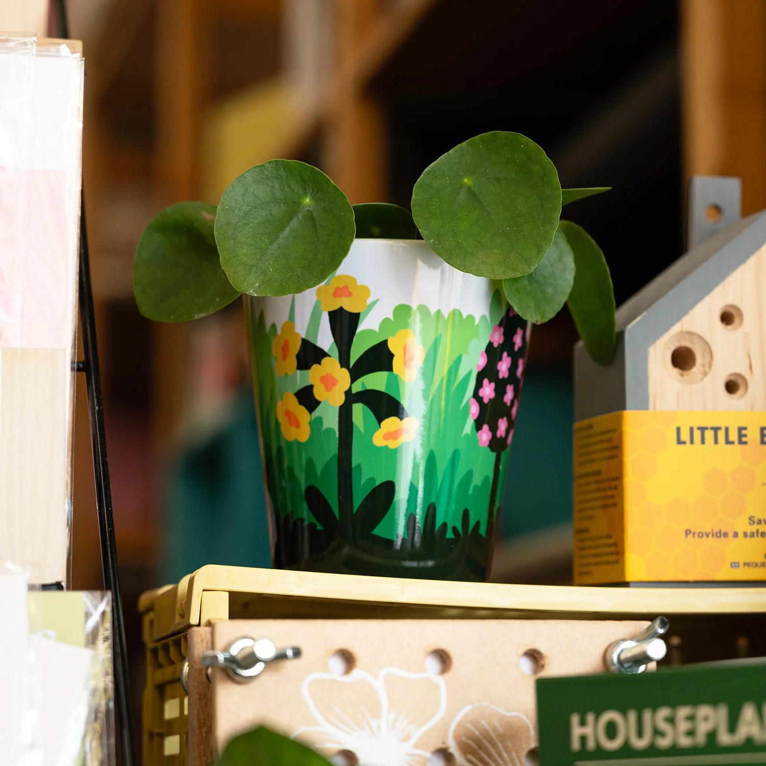 Fred Aldous Aster Plant Pot - Image 2