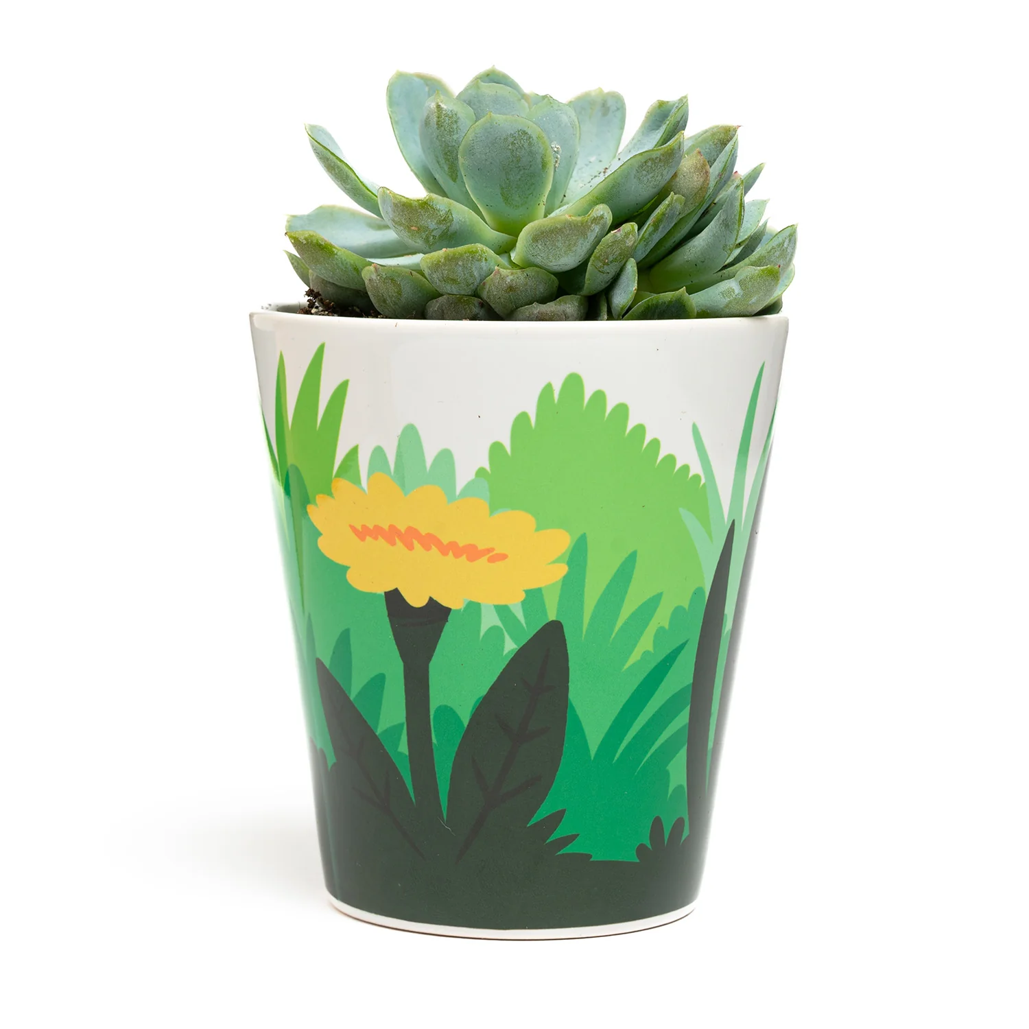 Fred Aldous Bluebell Plant Pot - Image 3