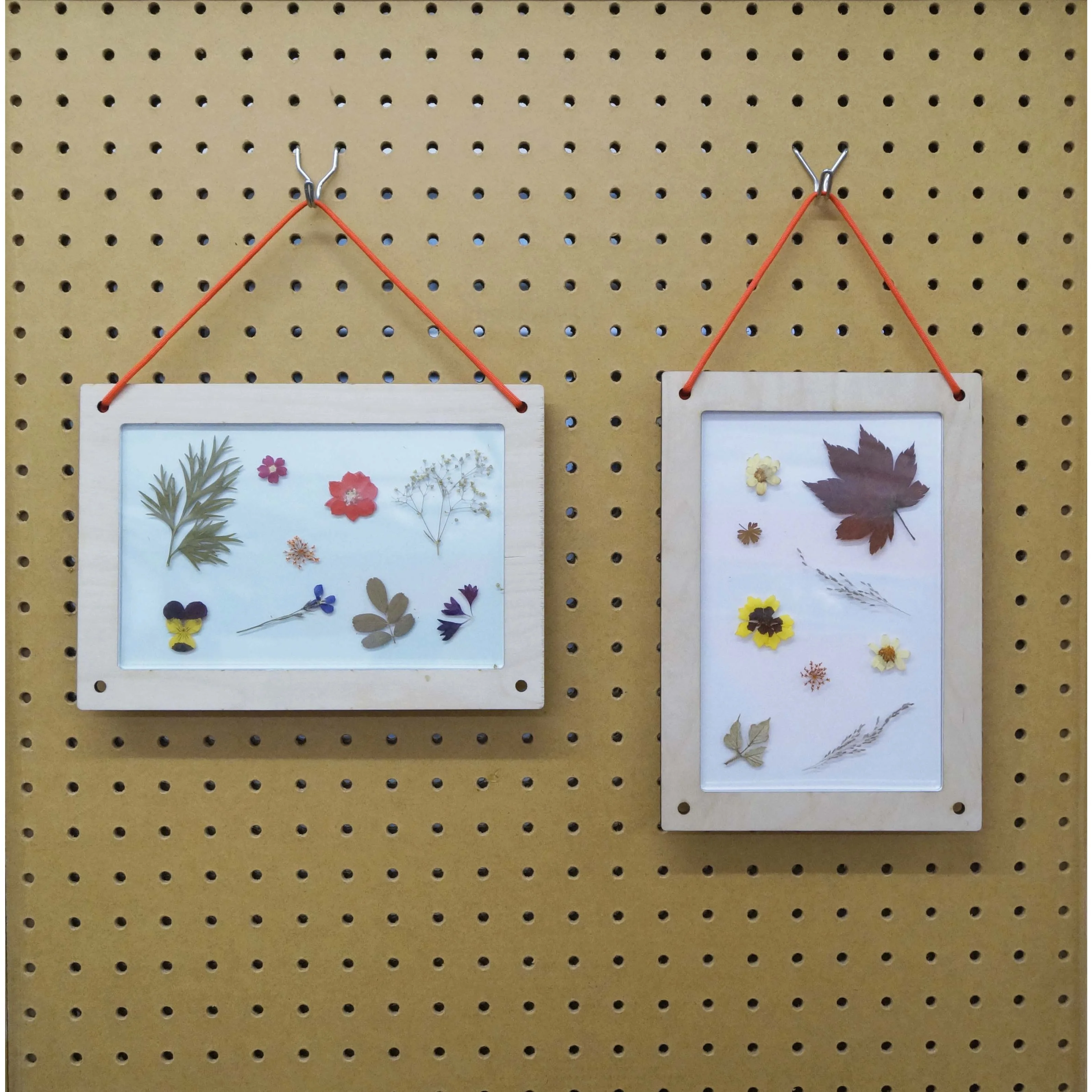Fred Aldous Flower Press Kit - Image 6