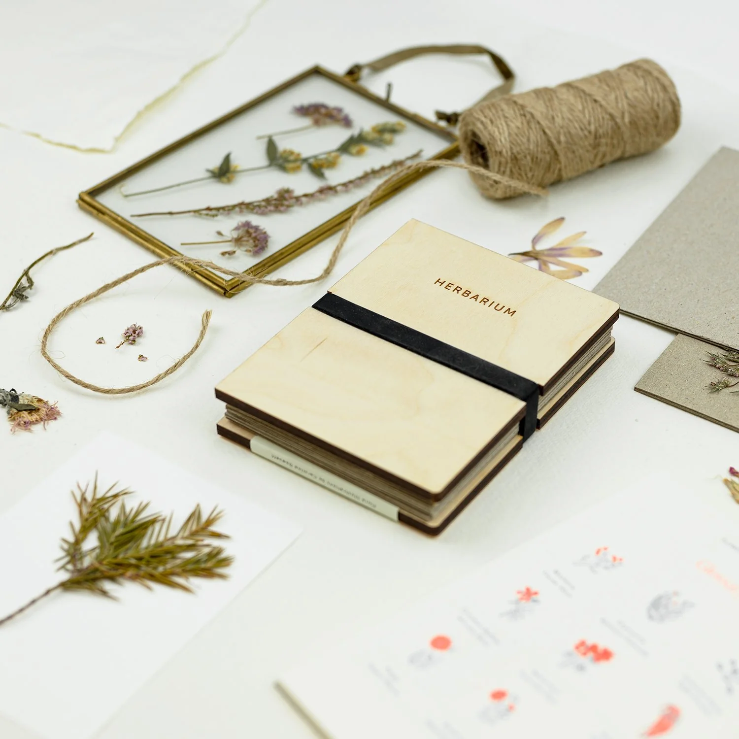 Fred Aldous Herbarium Pocket Press V1 - Image 2