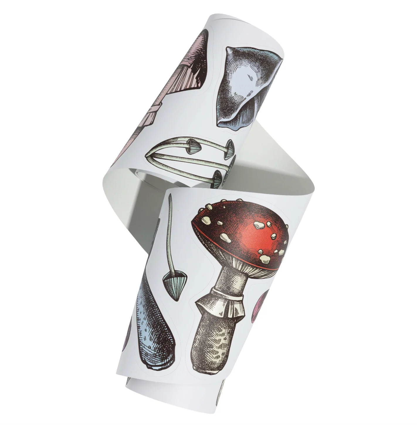 Fred Aldous Mushroom Sticker Pack Medium - Image 2