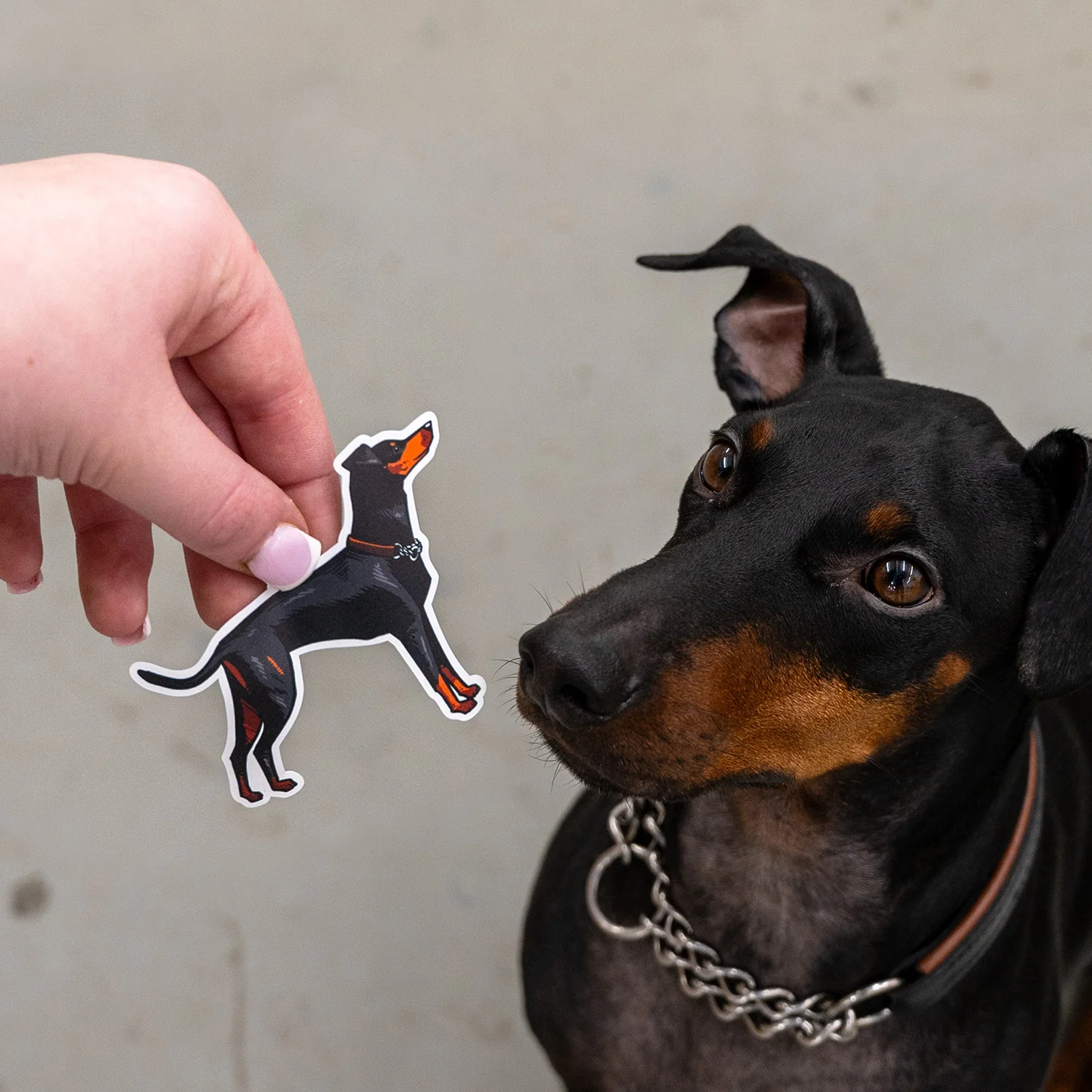 Fred Aldous X Hammo Dogs Sticker Pack - Image 2