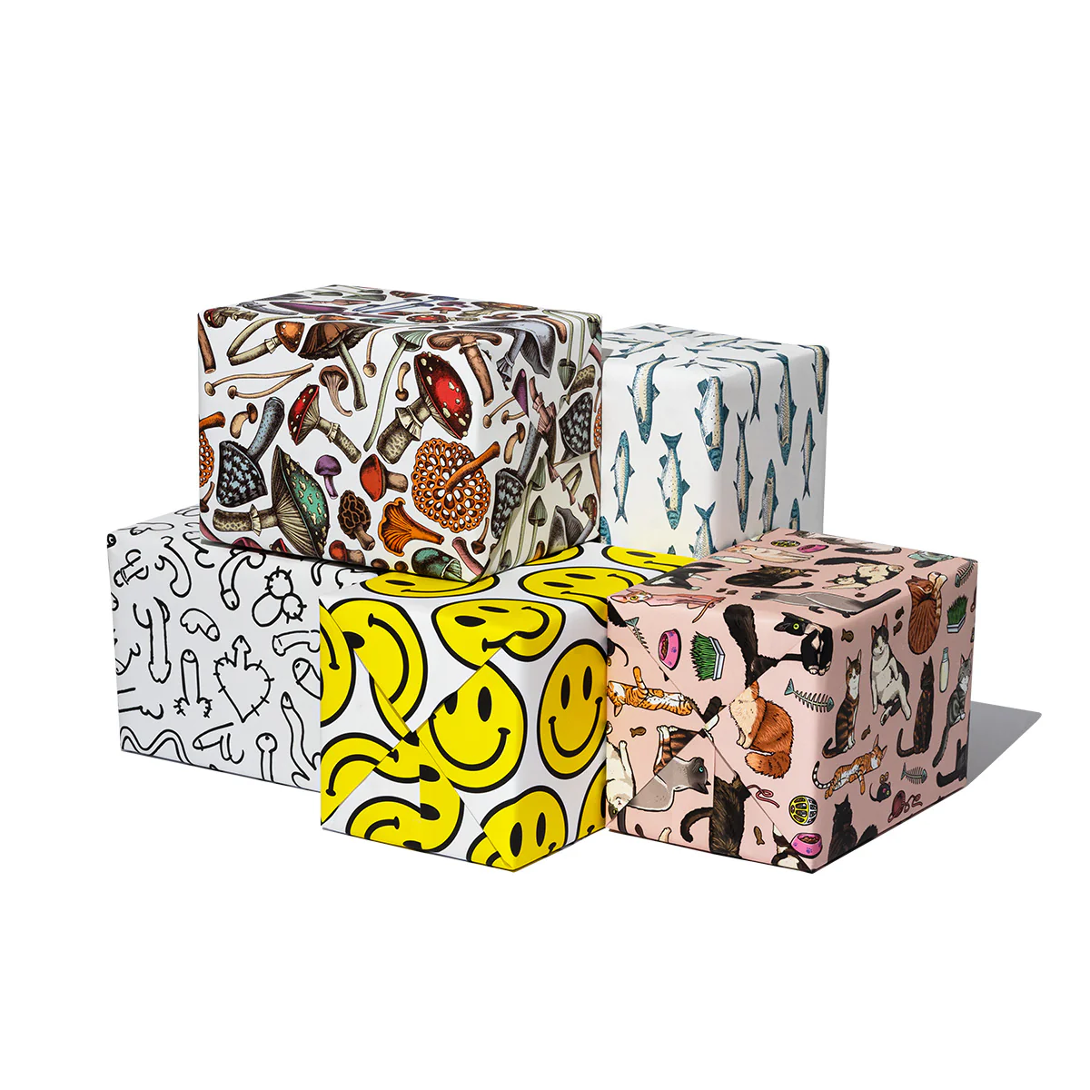 Gift Wrap - Hammo Cats - Image 2