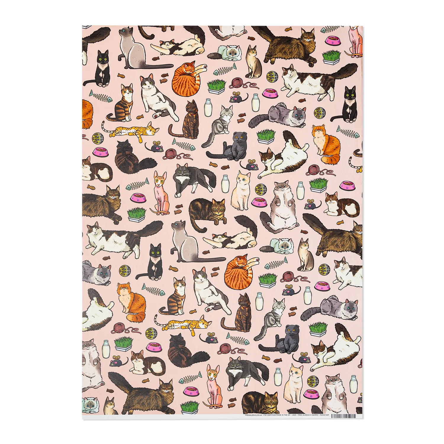 Gift Wrap - Hammo Cats - Image 3