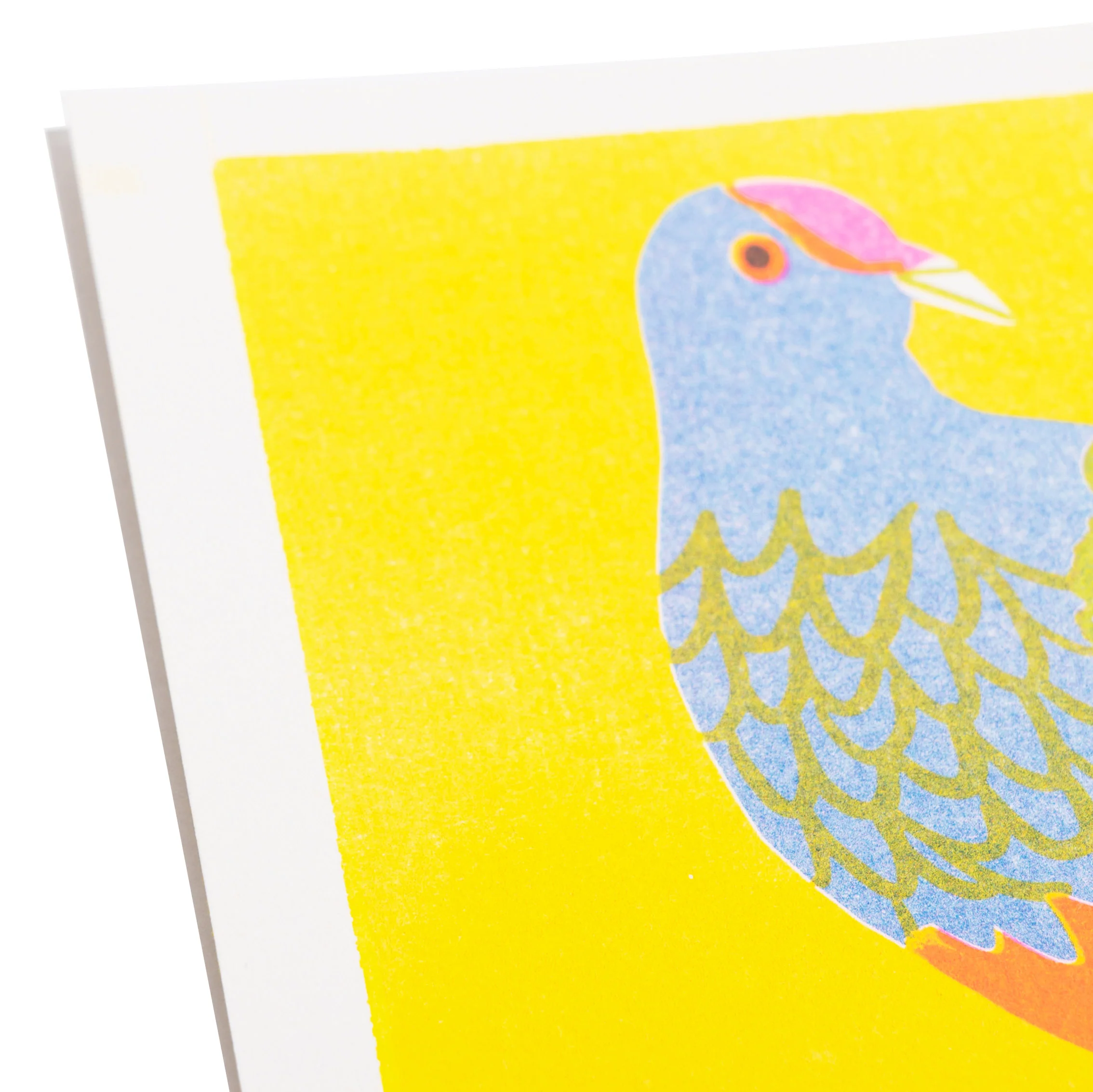Fruit Dove Print - Image 2