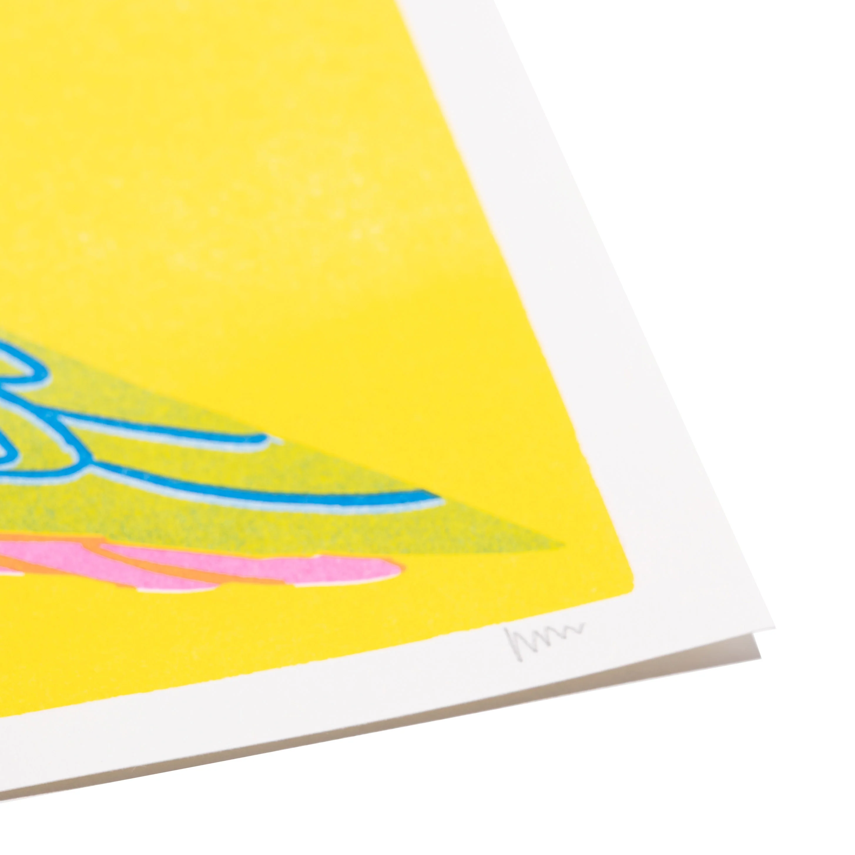 Fruit Dove Print - Image 3