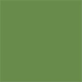 Georgian Oil Colour 38ml - Image 41