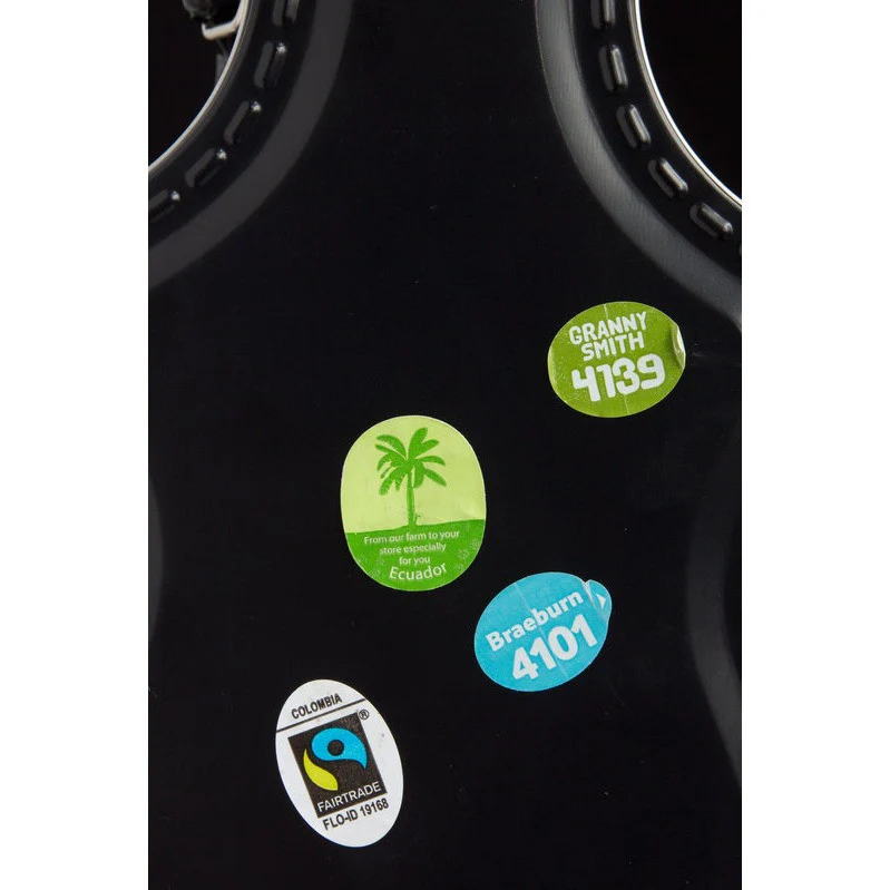 Guitar Case Lunch Box - Image 2