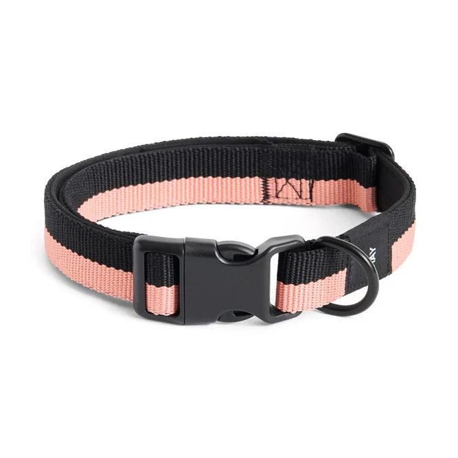 Dog Collar - M/L - Image 10