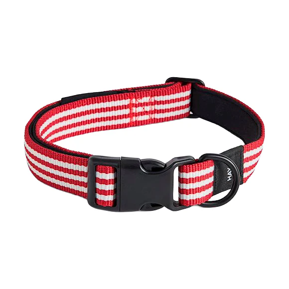 Dog Collar - M/L - Image 6