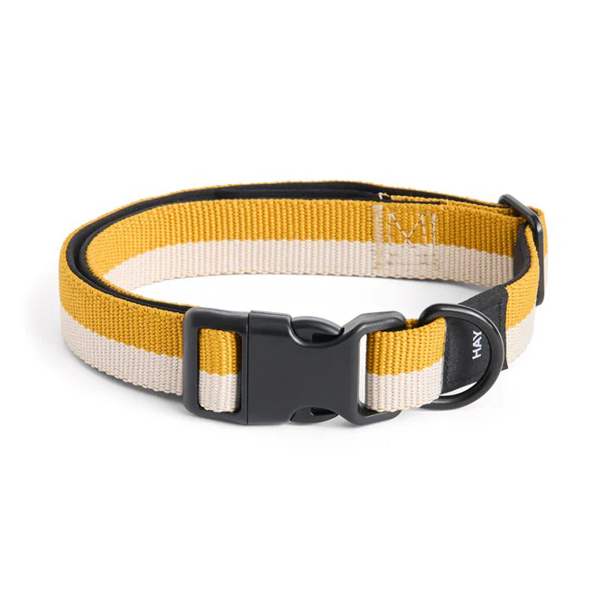 Dog Collar - M/L - Image 8