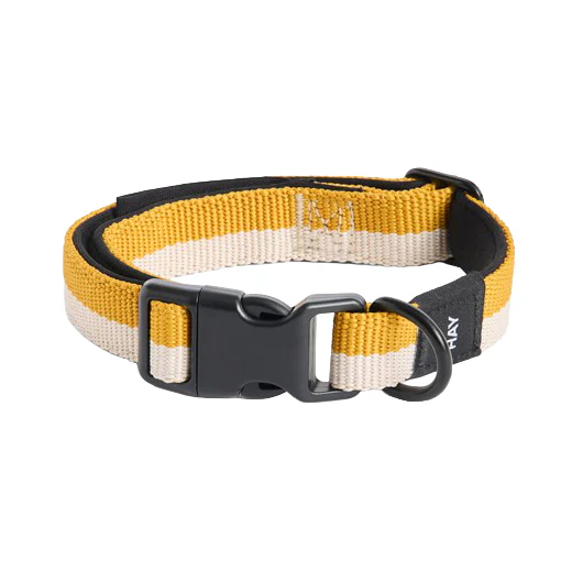 Dog Collar - S/M - Image 6