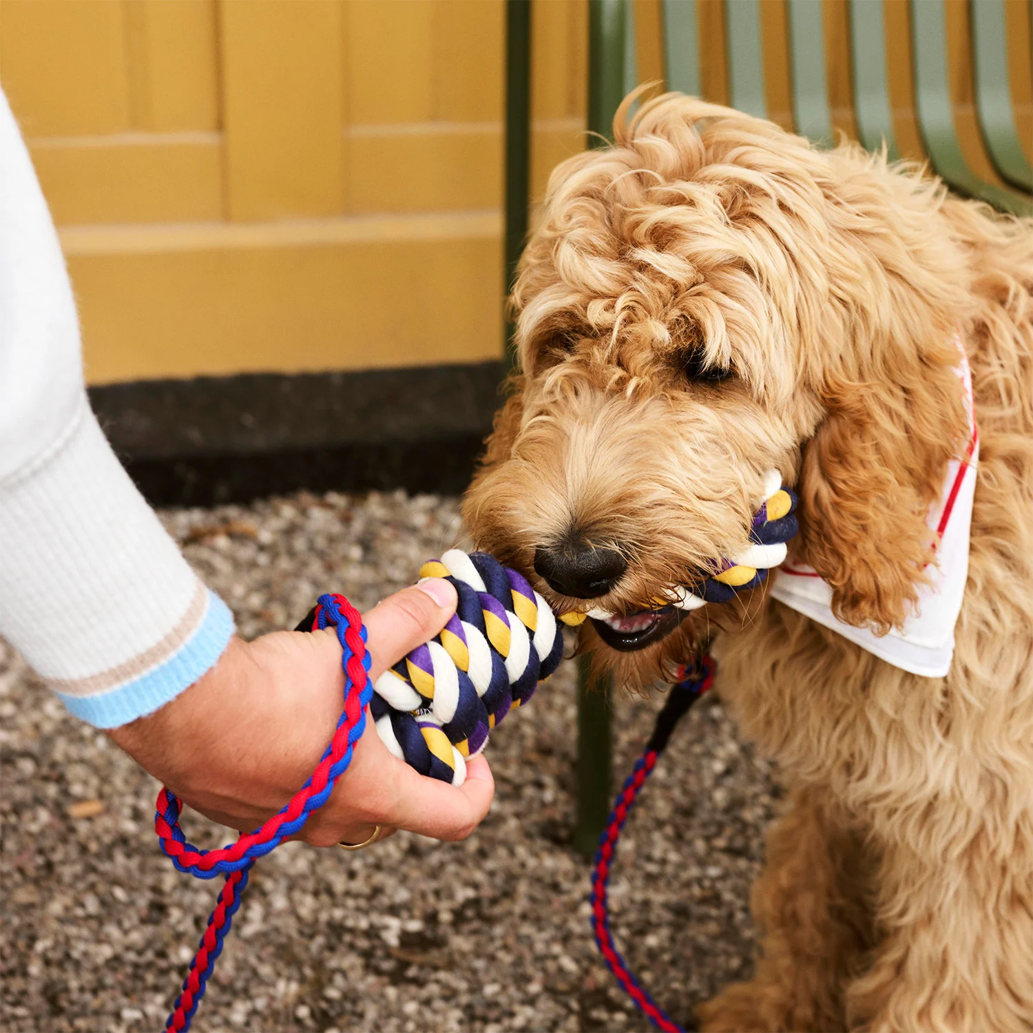 Dog Rope Toy - Image 2