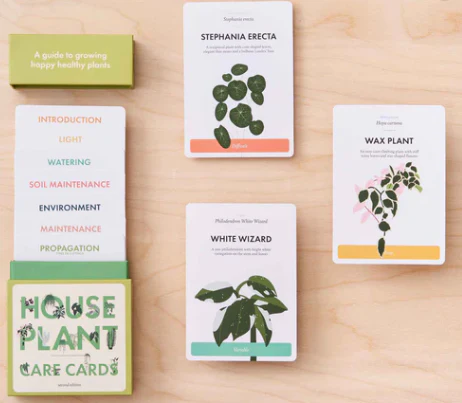 House Plant Care Cards - Edition 2 - Image 2