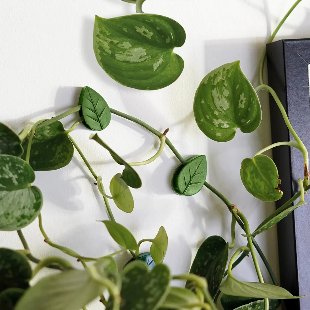 Houseplant Climbing Clips - Image 2