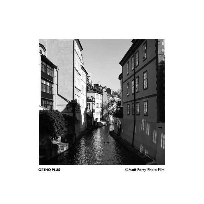 ILFORD Ortho Plus 80 120 - Image 2