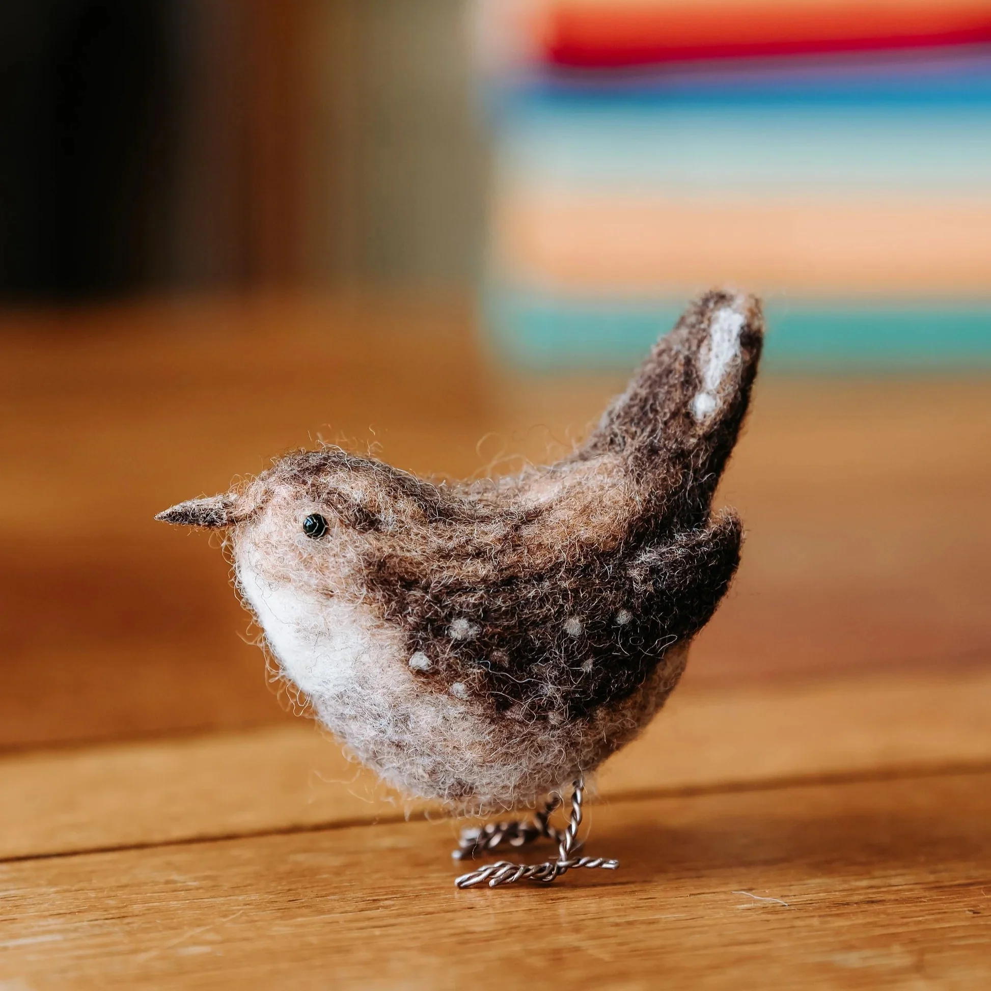 Jenny Wren - Image 2