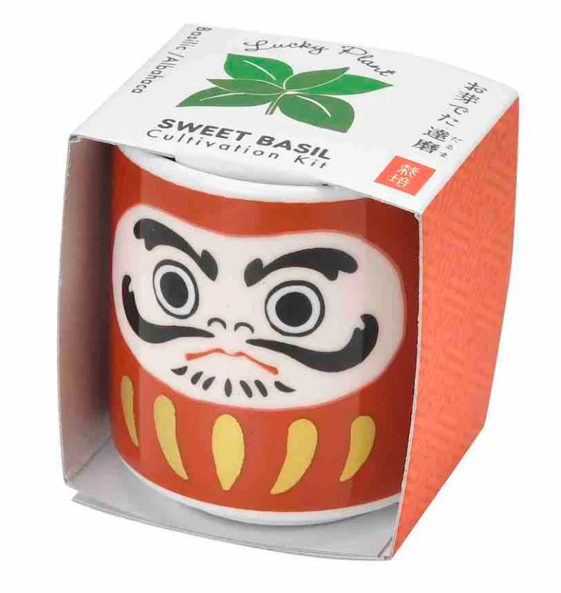 Lucky Plants Cultivation Kit - Image 3