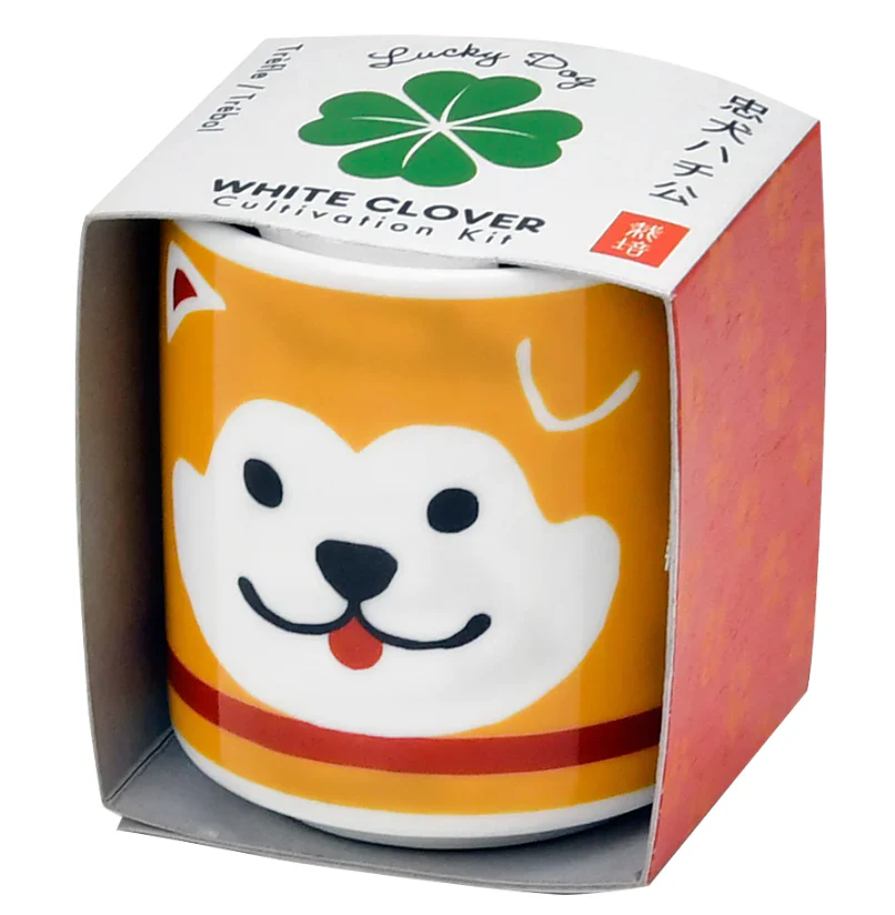 Lucky Plants Cultivation Kit - Image 4