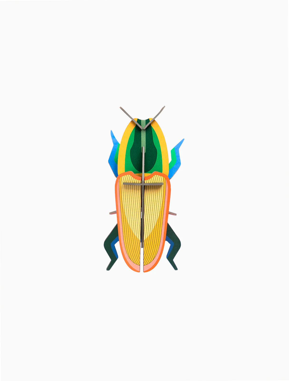 Studio Roof: Wall Decor Madagascar Beetle - Image 2