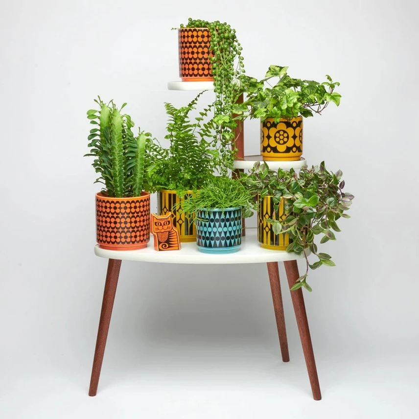 Magpie X Hornsea Medium Planty - Plant Pot Repeat Flower Orange - Image 3