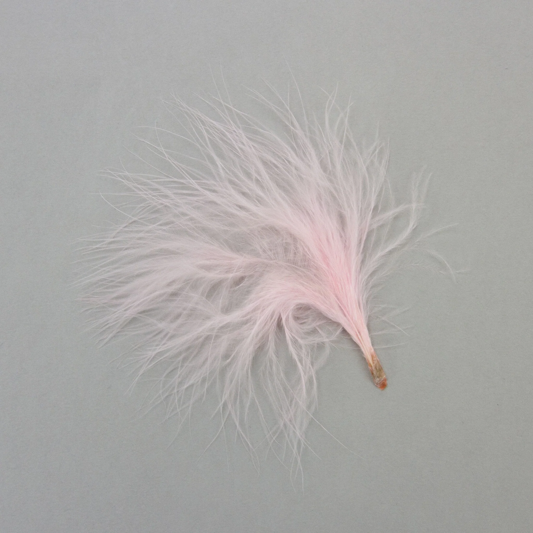 Marabou Feathers - Image 7