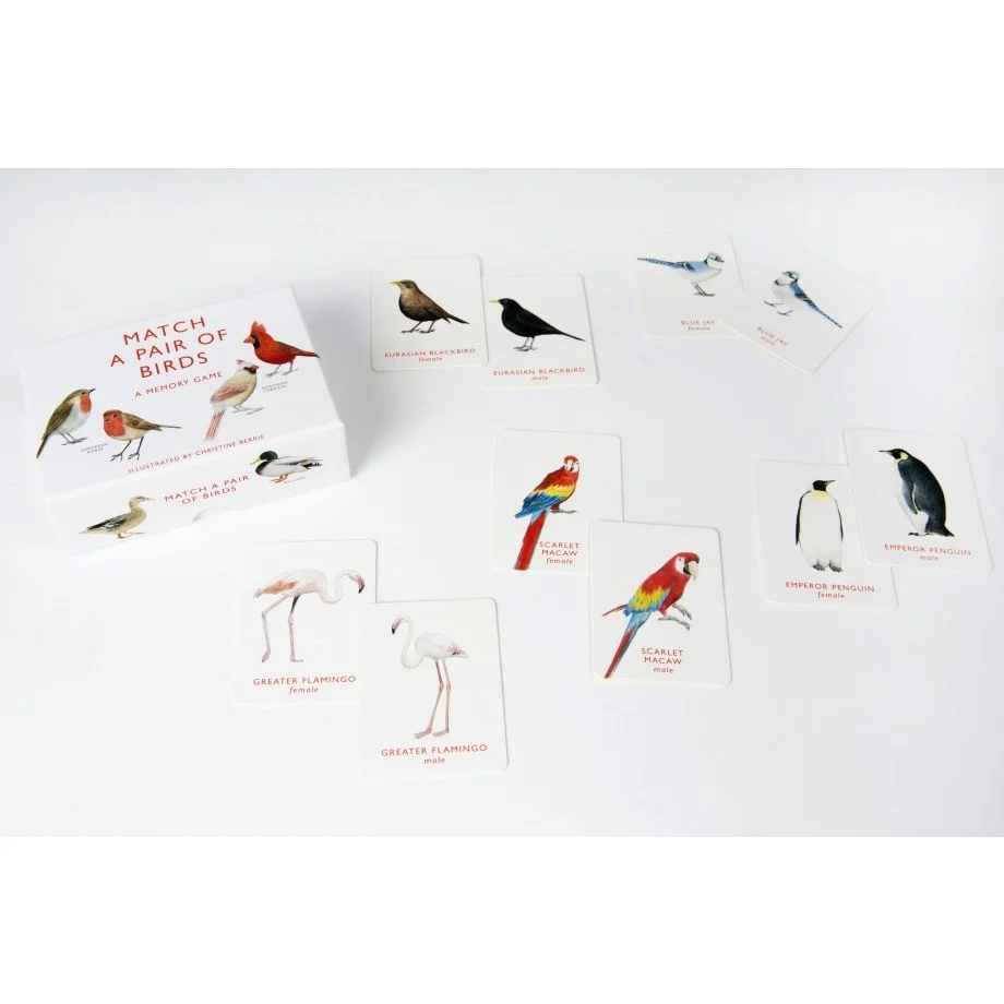 Match A Pair Of Birds - Image 3
