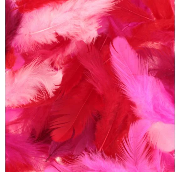 Mixed Coloured Feathers 10G - Image 2