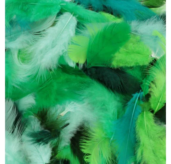 Mixed Coloured Feathers 10G - Image 3