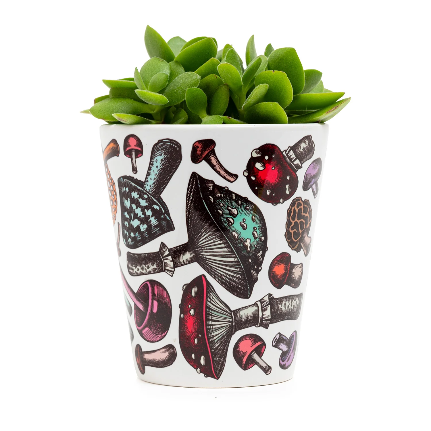 Mushroom Plant Pot - Image 3