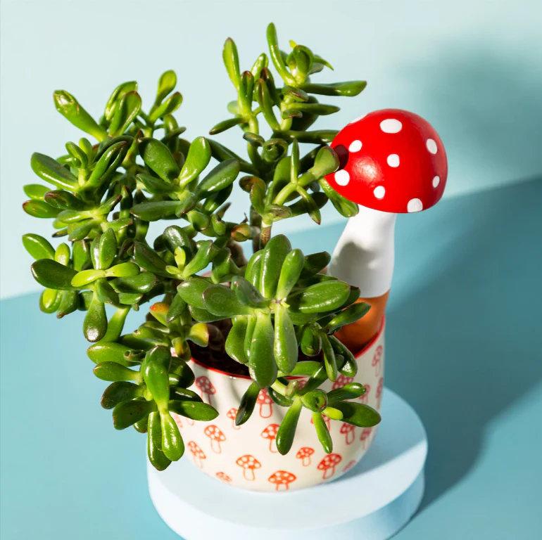 Mushroom Shaped Watering Spike Red - Image 2
