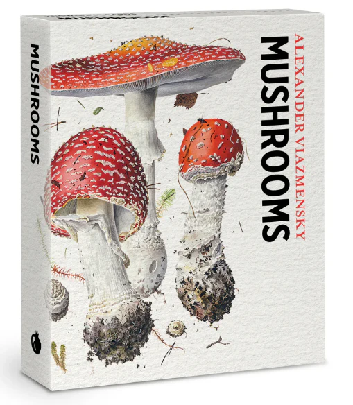 Alexander Viazmensky: Knowledge Cards - Mushrooms