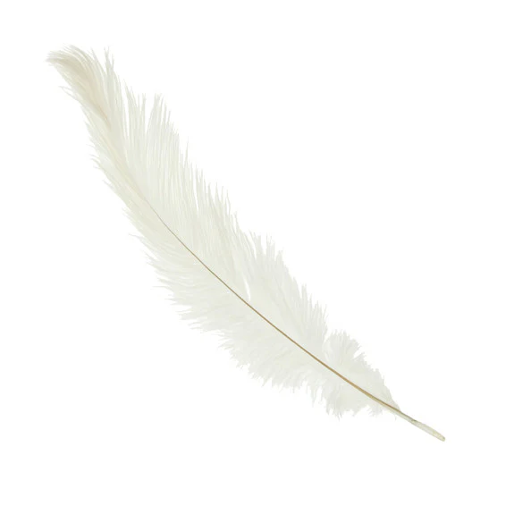 Ostrich Feathers Medium White