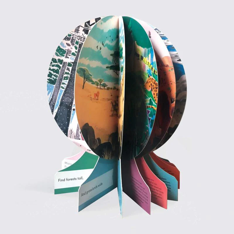Our World - A First Book of Geography - Image 2