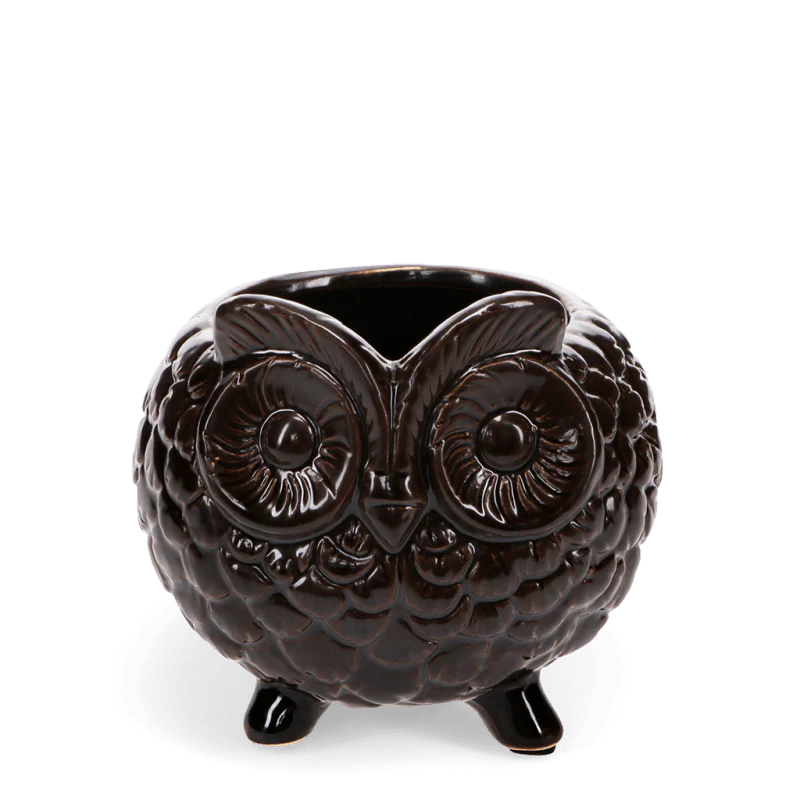Owl Plant Pot