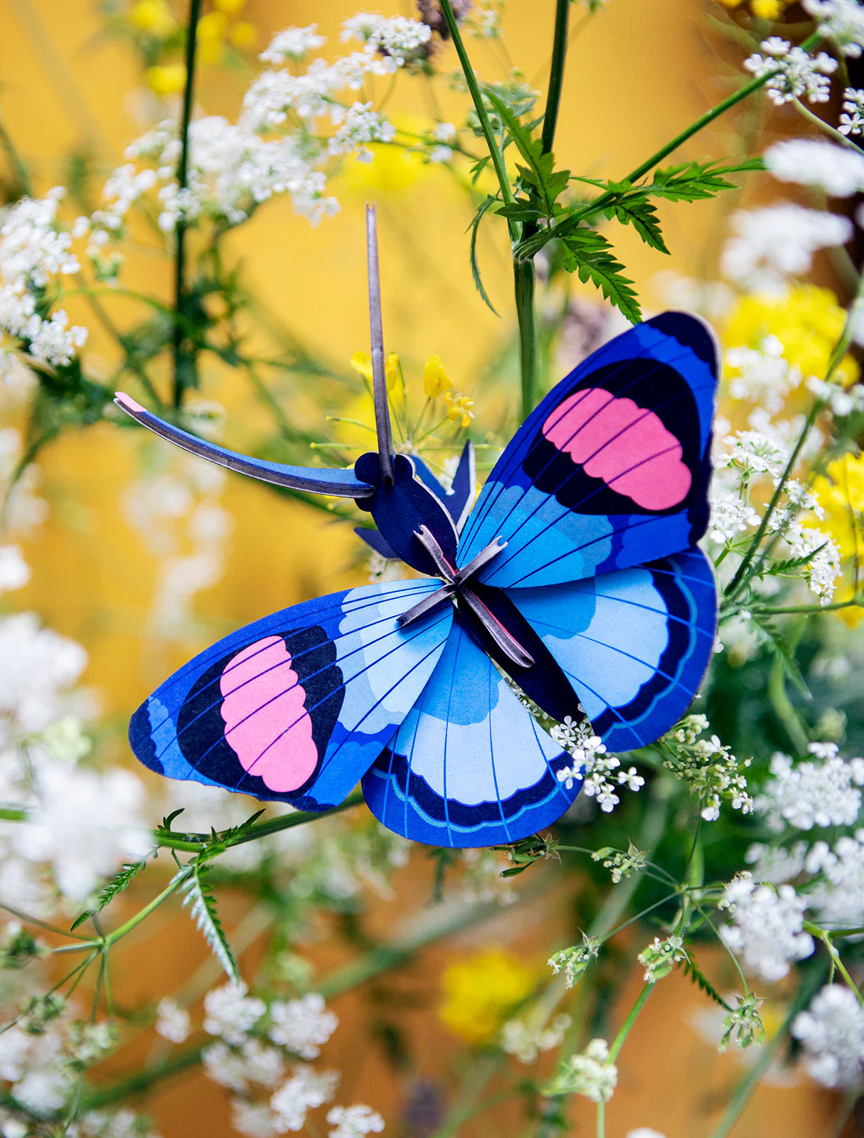 Studio Roof: Wall Decor Peacock Butterfly - Image 3