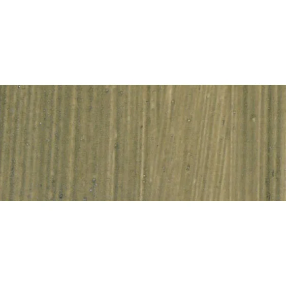 Pip Seymour Artist Oil 40ml - Image 50