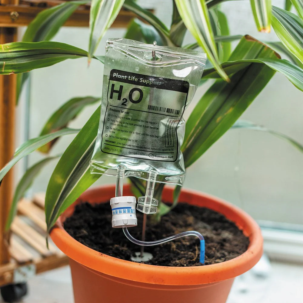 Plant Life Support Houseplant Watering Device - Image 2