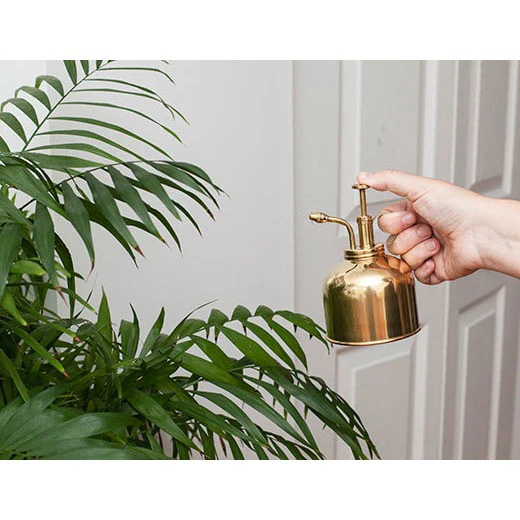 Plant Mister Brass - Image 2
