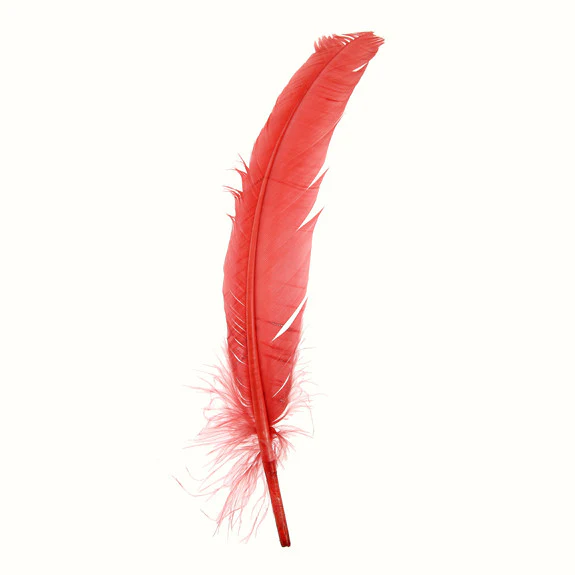 Quill Feathers 12 Pk - Image 3