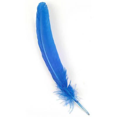 Quill Feathers 12 Pk - Image 4