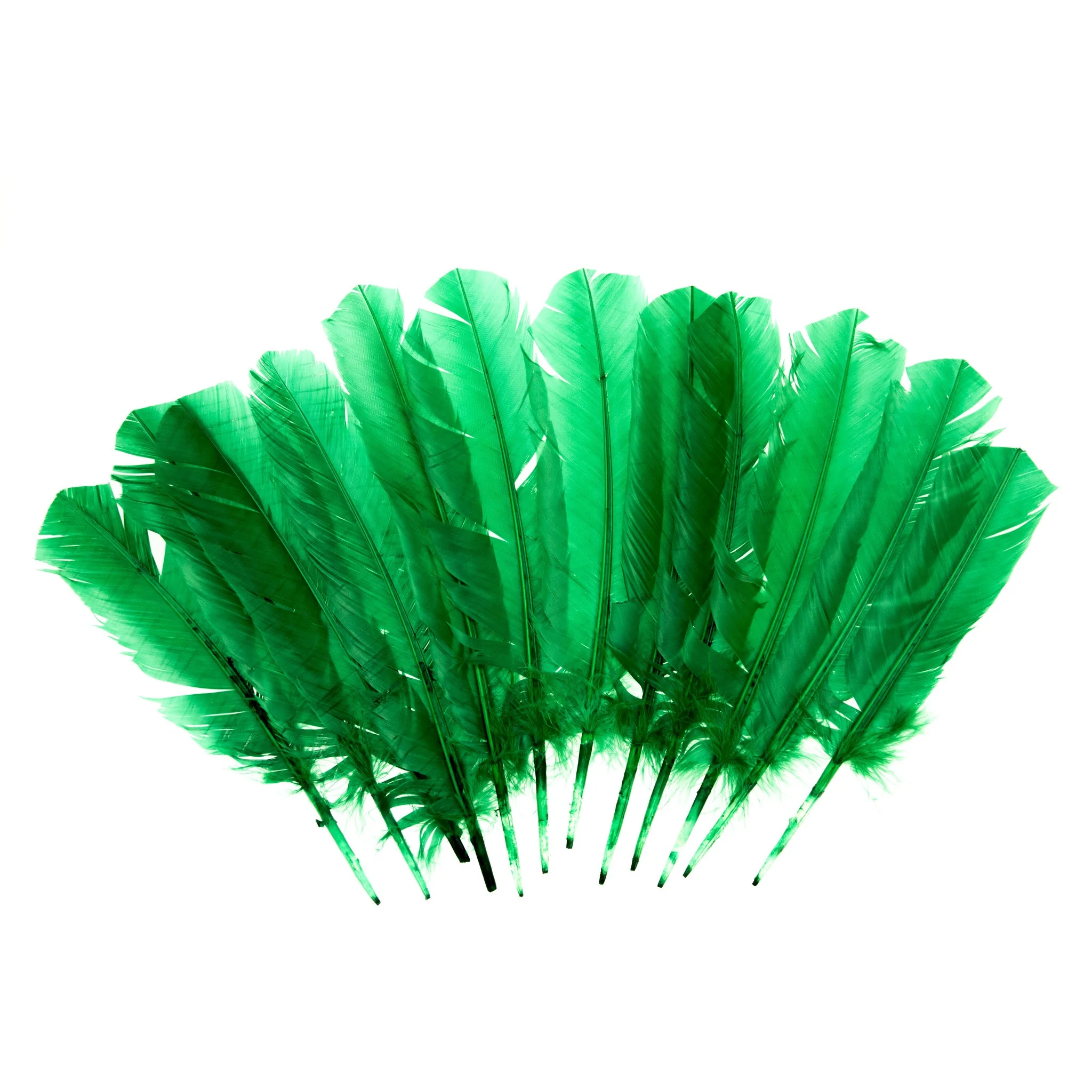Quill Feathers 12 Pk - Image 5