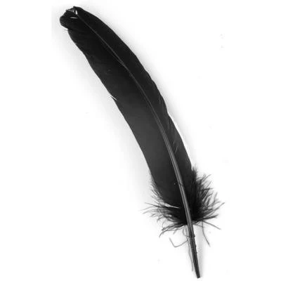 Quill Feathers 12 Pk - Image 6