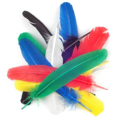 Quill Feathers 12 Pk - Image 7